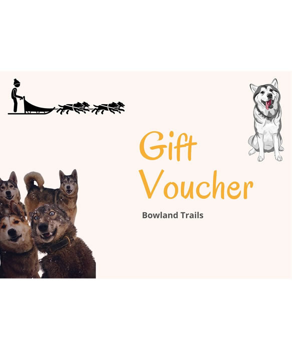 Gift Vouchers